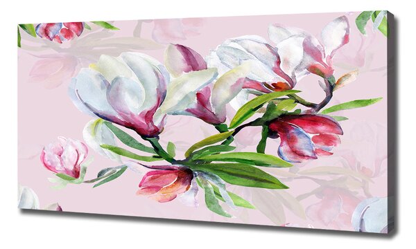 Foto obraz tištěný na plátně Květiny magnolie oc-104301807