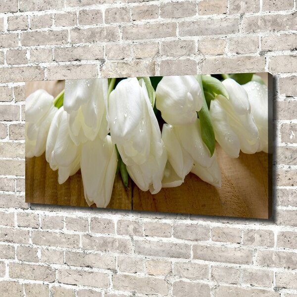 Foto obraz na plátně Bílé tulipány oc-104686883