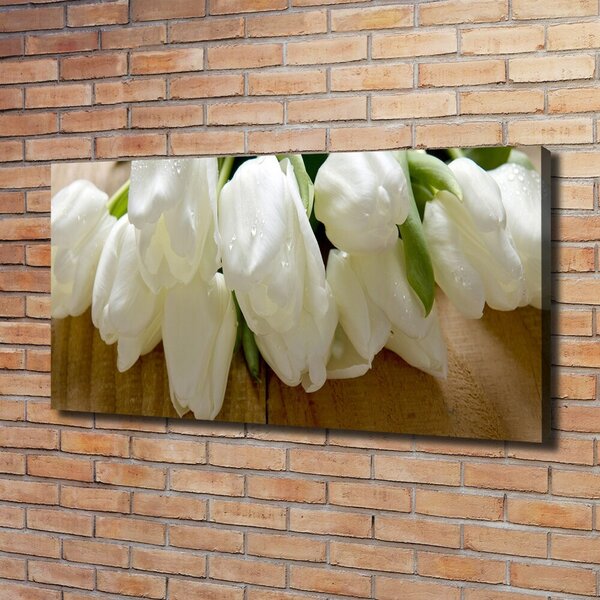 Foto obraz na plátně Bílé tulipány oc-104686883