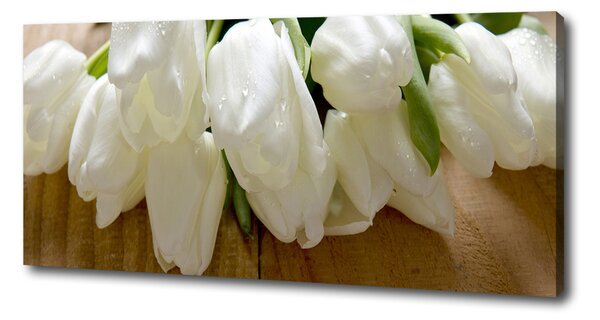 Foto obraz na plátně Bílé tulipány oc-104686883