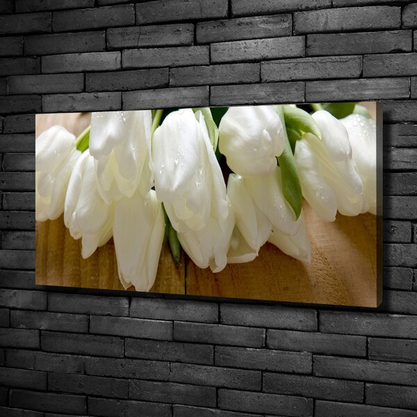 Foto obraz na plátně Bílé tulipány oc-104686883