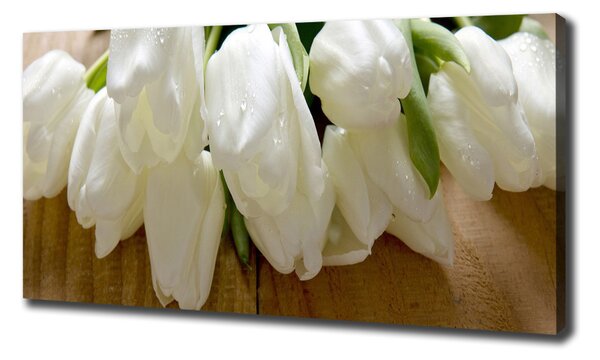 Foto obraz na plátně Bílé tulipány oc-104686883
