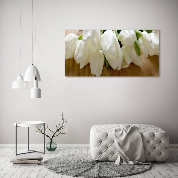 Foto obraz na plátně Bílé tulipány oc-104686883