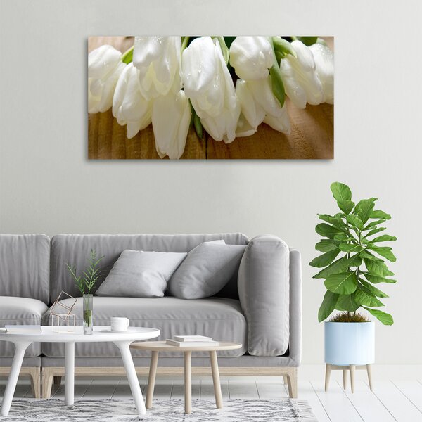 Foto obraz na plátně Bílé tulipány oc-104686883