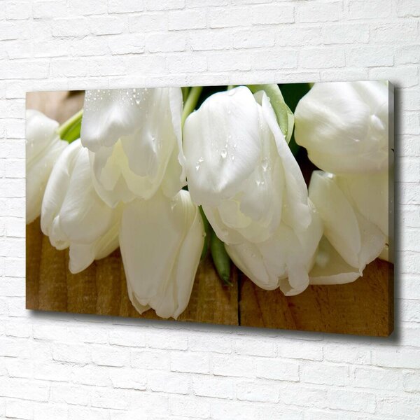 Foto obraz na plátně Bílé tulipány oc-104686883