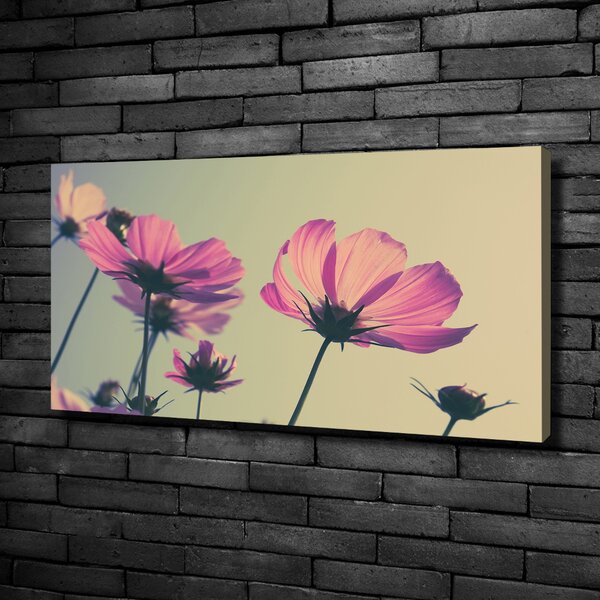 Foto obraz canvas Růžové květiny oc-104707608
