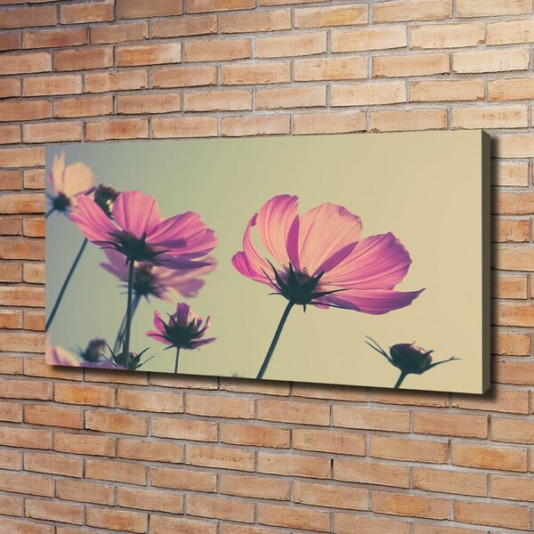 Foto obraz canvas Růžové květiny oc-104707608