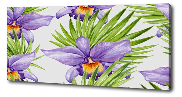 Foto obraz na plátně Orchidej oc-104930061