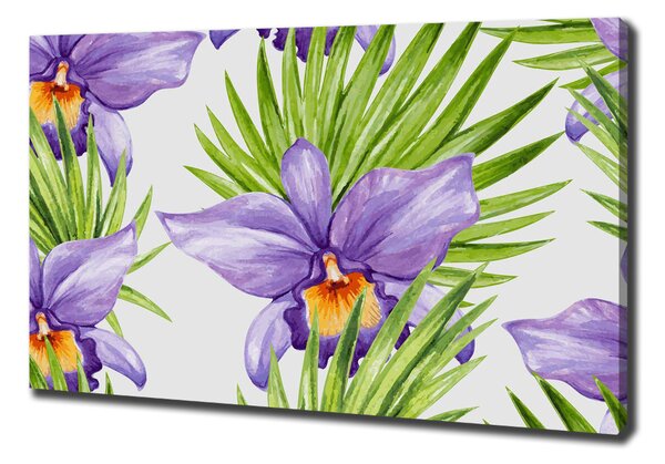 Foto obraz na plátně Orchidej oc-104930061