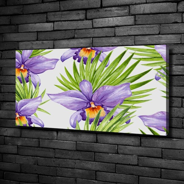 Foto obraz na plátně Orchidej oc-104930061