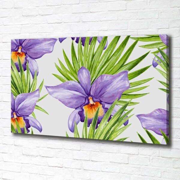 Foto obraz na plátně Orchidej oc-104930061