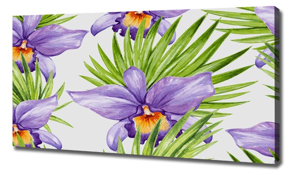 Foto obraz na plátně Orchidej oc-104930061