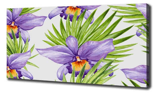 Foto obraz na plátně Orchidej oc-104930061