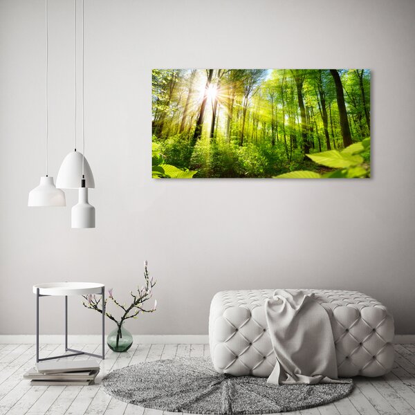 Foto obraz sklo tvrzené Les slunce osh-105833930
