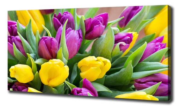 Foto obraz canvas Barevné tulipány oc-106061917