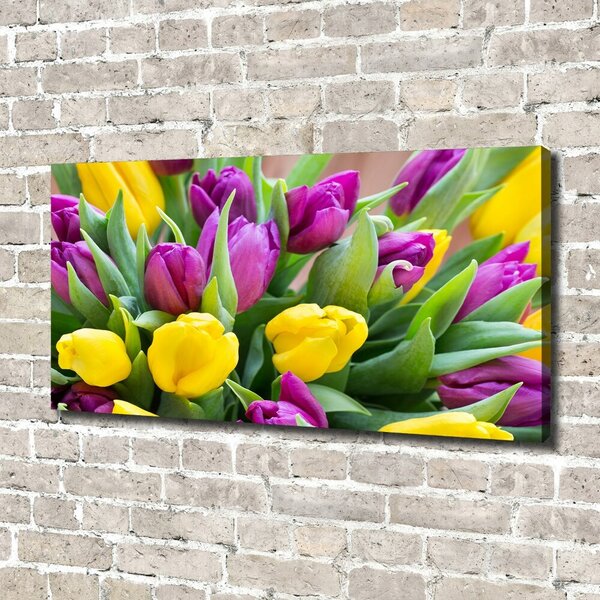 Foto obraz canvas Barevné tulipány oc-106061917