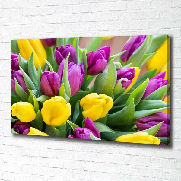 Foto obraz canvas Barevné tulipány oc-106061917