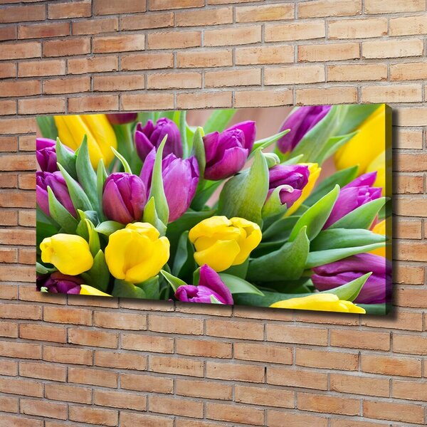 Foto obraz canvas Barevné tulipány oc-106061917