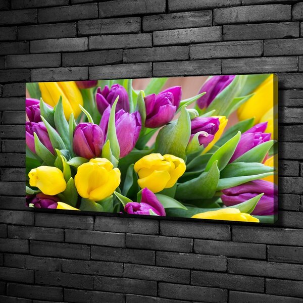 Foto obraz canvas Barevné tulipány oc-106061917