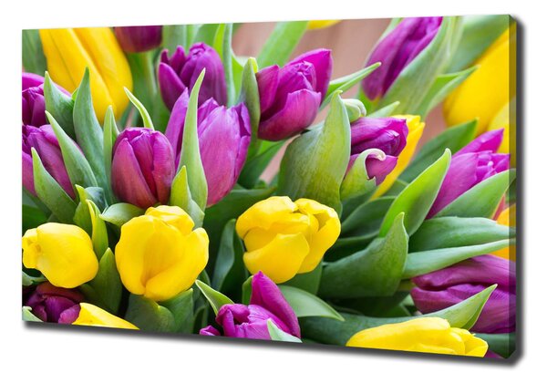 Foto obraz canvas Barevné tulipány oc-106061917