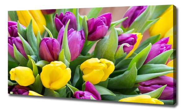 Foto obraz canvas Barevné tulipány oc-106061917