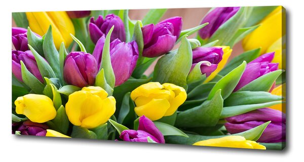 Foto obraz canvas Barevné tulipány oc-106061917