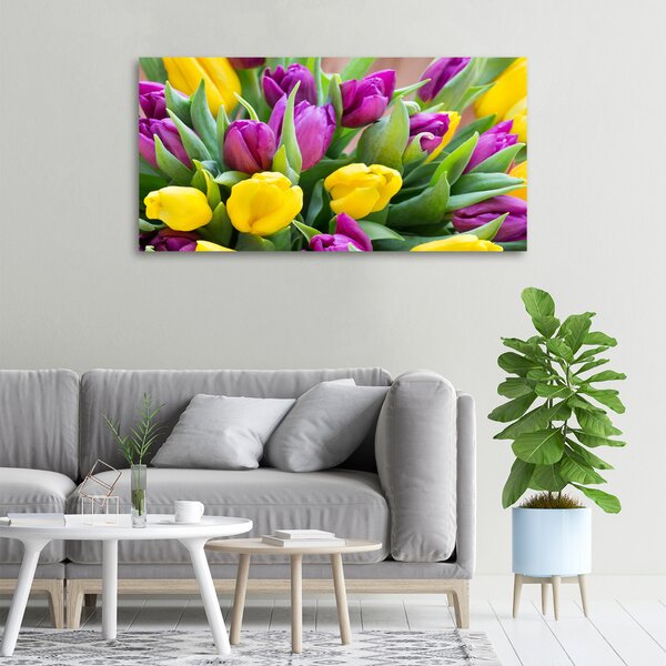 Foto obraz canvas Barevné tulipány oc-106061917