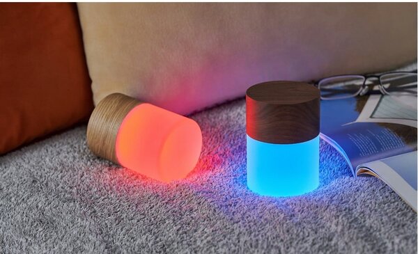 Stmívatelná stolní lampa v přírodní barvě se skleněným stínidlem (výška 10,5 cm) Lemelia – Gingko