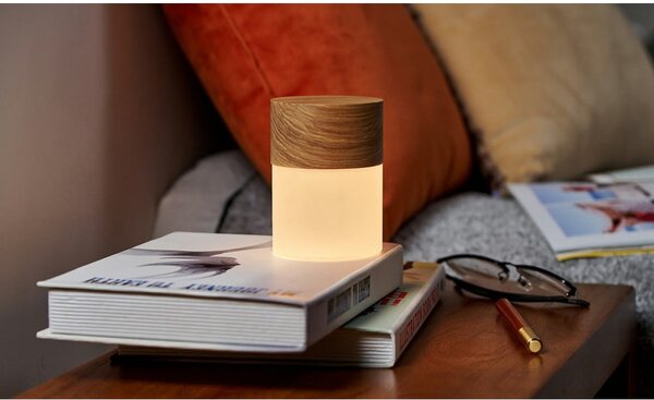 Stmívatelná stolní lampa v přírodní barvě se skleněným stínidlem (výška 10,5 cm) Lemelia – Gingko