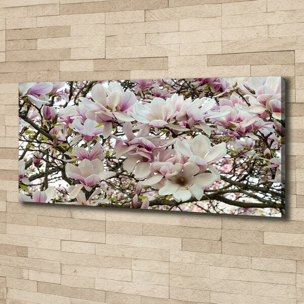 Foto-obraz canvas do obýváku Květiny magnolie oc-107287859