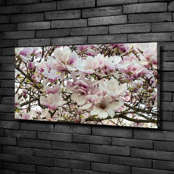 Foto-obraz canvas do obýváku Květiny magnolie oc-107287859