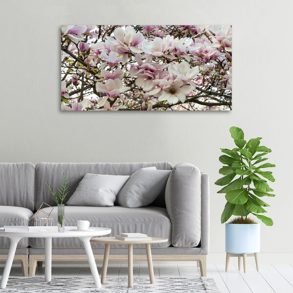 Foto-obraz canvas do obýváku Květiny magnolie oc-107287859