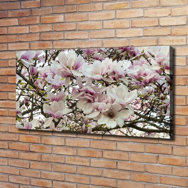 Foto-obraz canvas do obýváku Květiny magnolie oc-107287859