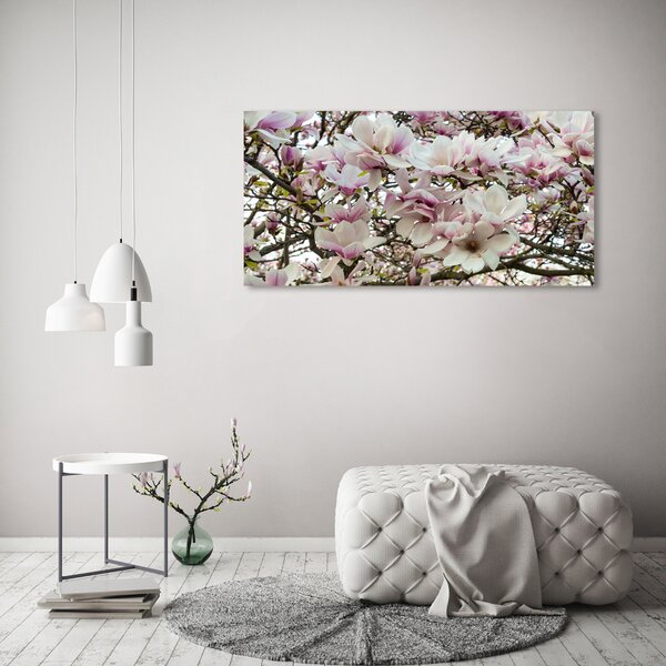 Foto-obraz canvas do obýváku Květiny magnolie oc-107287859