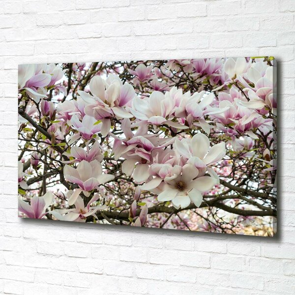 Foto-obraz canvas do obýváku Květiny magnolie oc-107287859