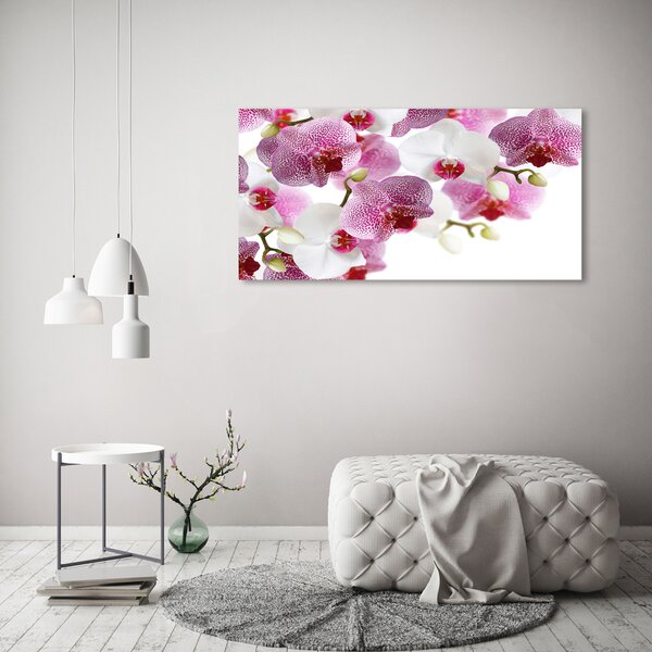 Foto obraz na plátně do obýváku Orchidej oc-107506962