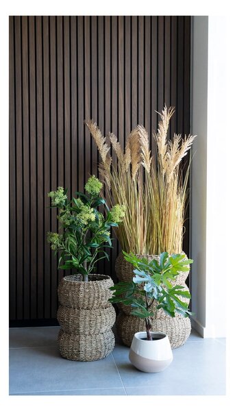 Umělá rostlina (výška 60 cm) Fig – House Nordic