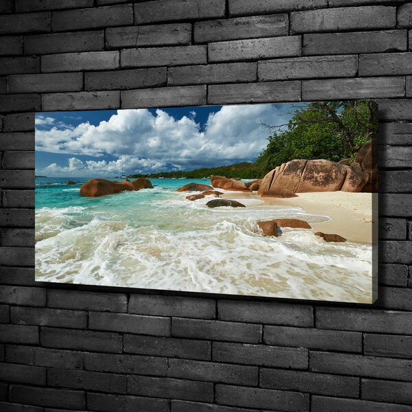 Foto obraz canvas Pláž Seychely oc-107860755