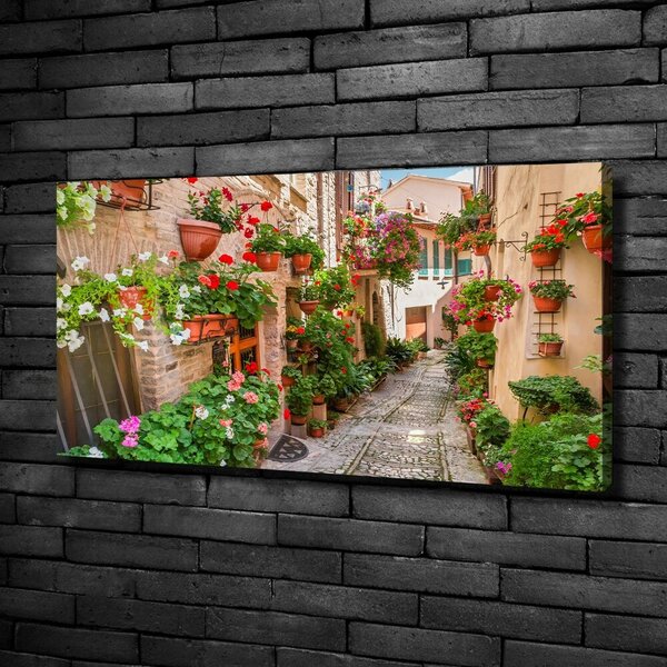 Foto obraz canvas Italské uličky oc-108008671