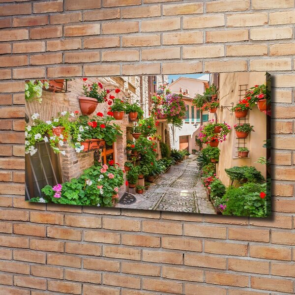 Foto obraz canvas Italské uličky oc-108008671