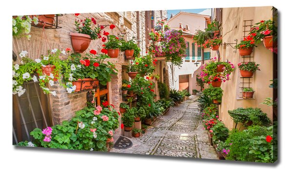 Foto obraz canvas Italské uličky oc-108008671