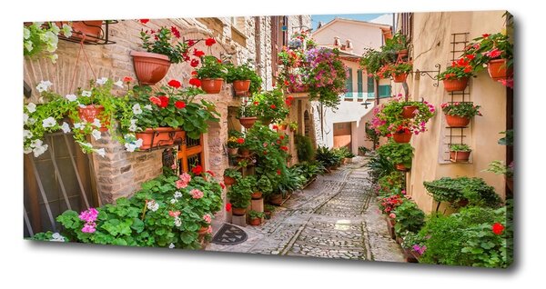 Foto obraz canvas Italské uličky oc-108008671