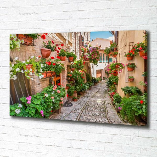 Foto obraz canvas Italské uličky oc-108008671