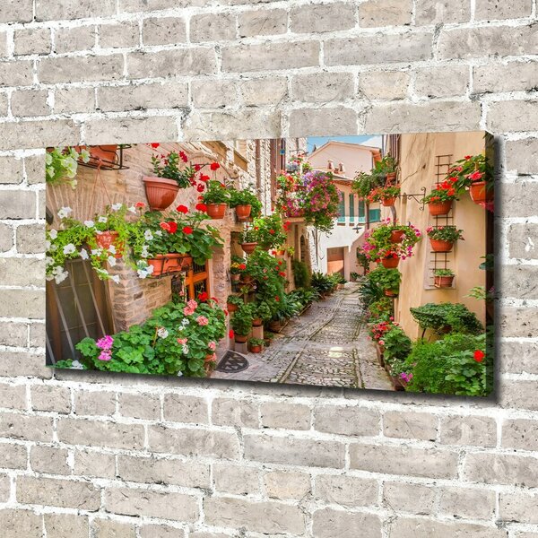 Foto obraz canvas Italské uličky oc-108008671