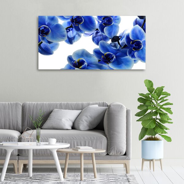 Foto obraz na plátně do obýváku Modrná orchidej oc-108719239