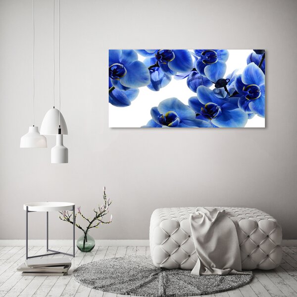 Foto obraz na plátně do obýváku Modrná orchidej oc-108719239