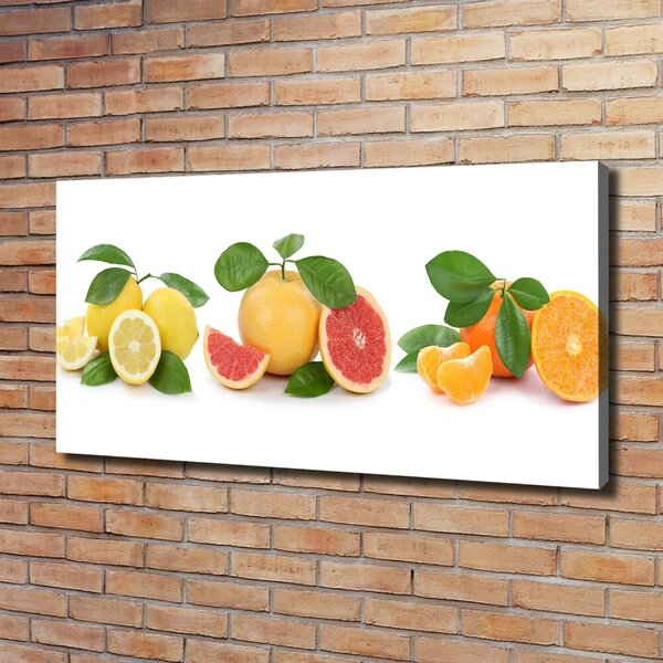 Foto obraz na plátně Citrusové ovoce oc-108945081