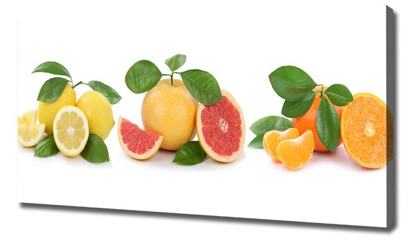 Foto obraz na plátně Citrusové ovoce oc-108945081