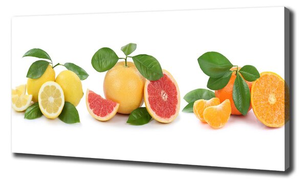Foto obraz na plátně Citrusové ovoce oc-108945081
