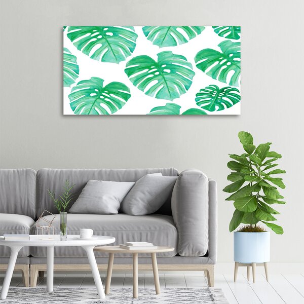 Foto obraz na plátně Monstera oc-108948322